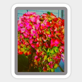 Pink Hydrangea Plant Lovers Gift Sticker